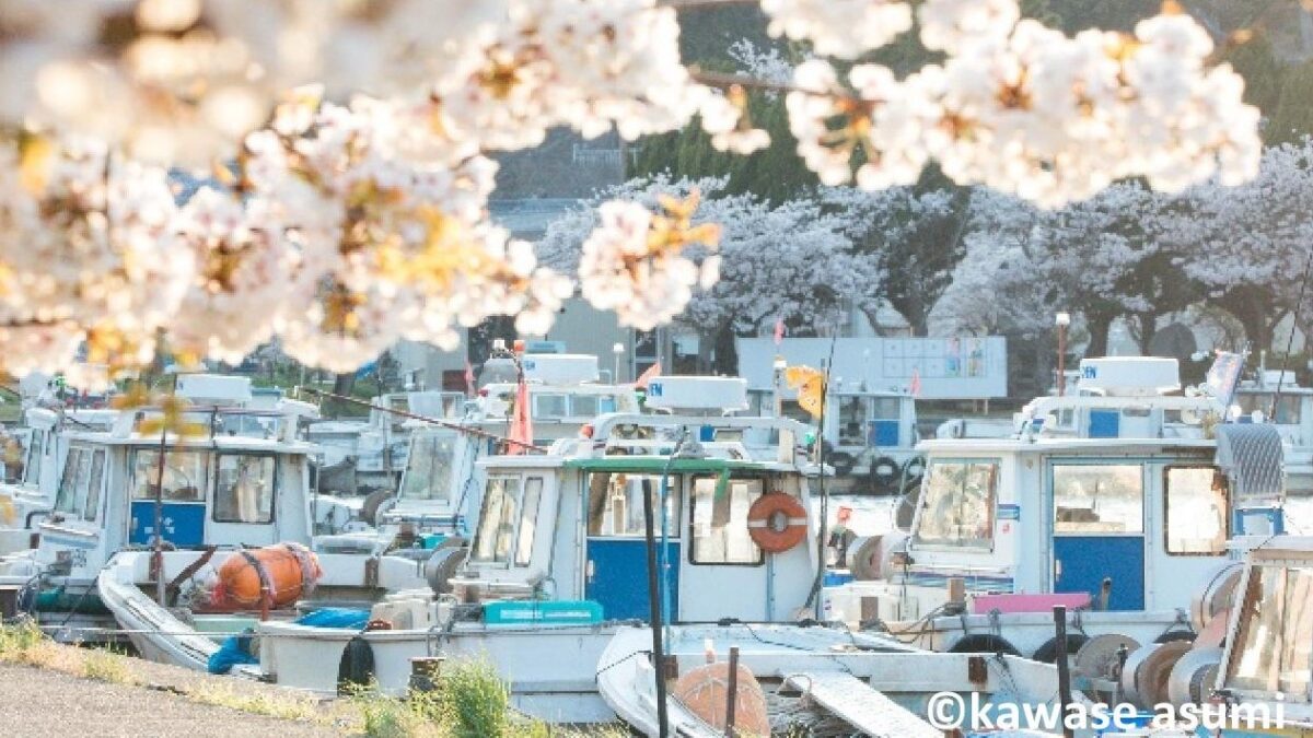 琵琶湖に浮かぶ昭和レトロな島 桜色の沖島