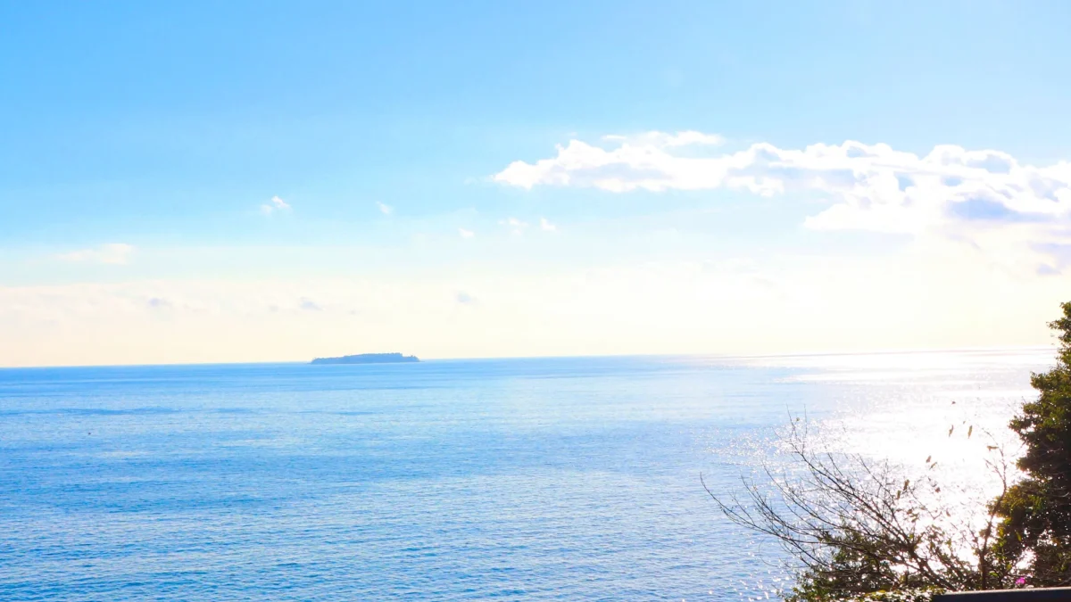 予約から出発までの流れ