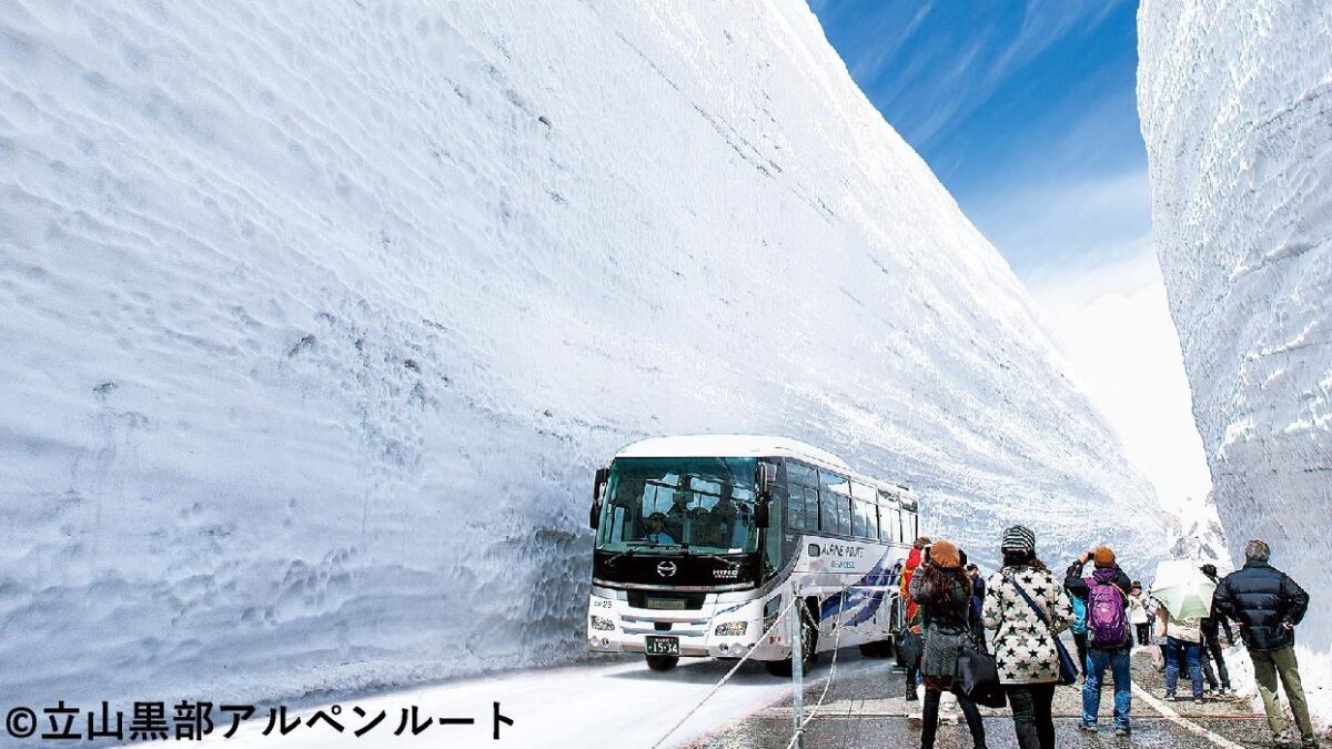 大迫力の雪壁！立山室堂 雪の大谷