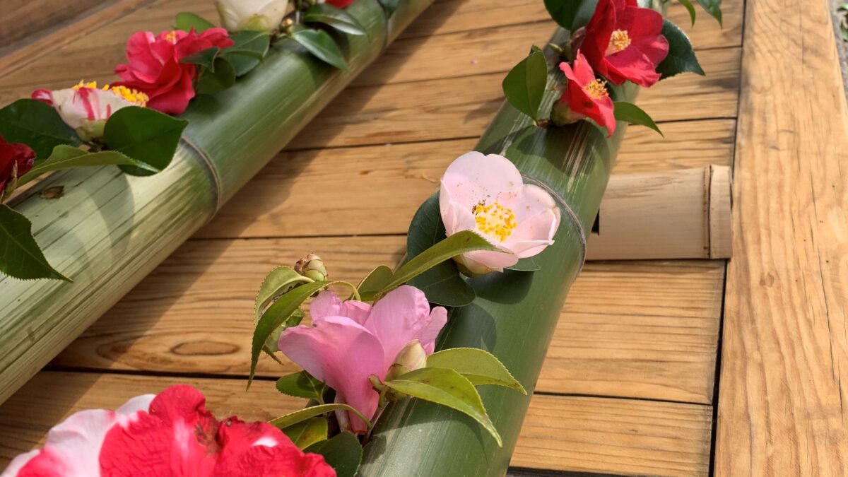 椿の寺・霊鑑寺門跡 春の特別公開