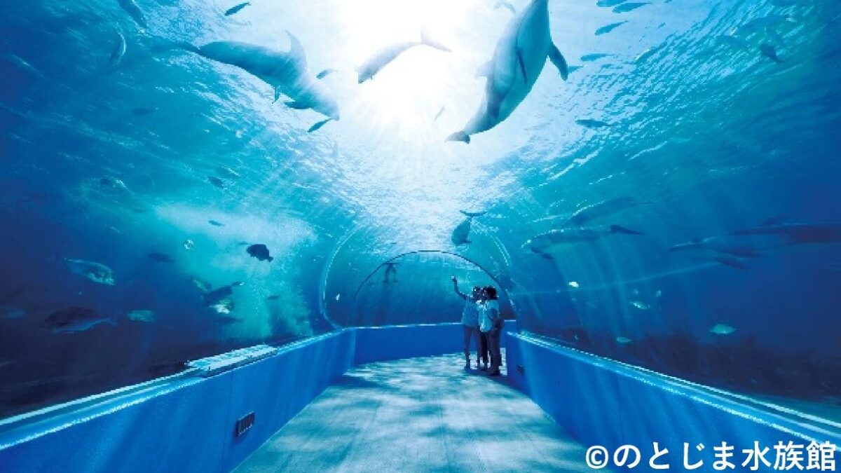 旅して応援！能登紀行 和倉温泉とのとじま水族館【福井発】