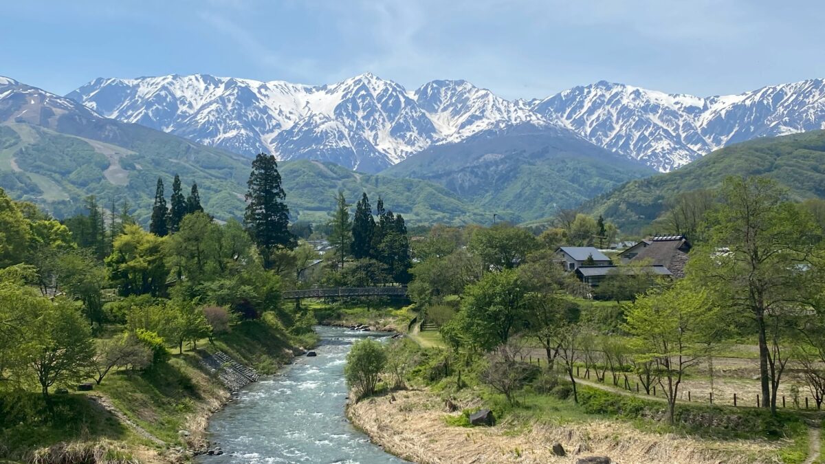 白馬の絶景・大出公園と可憐な花咲く湧き水群・姫川源流