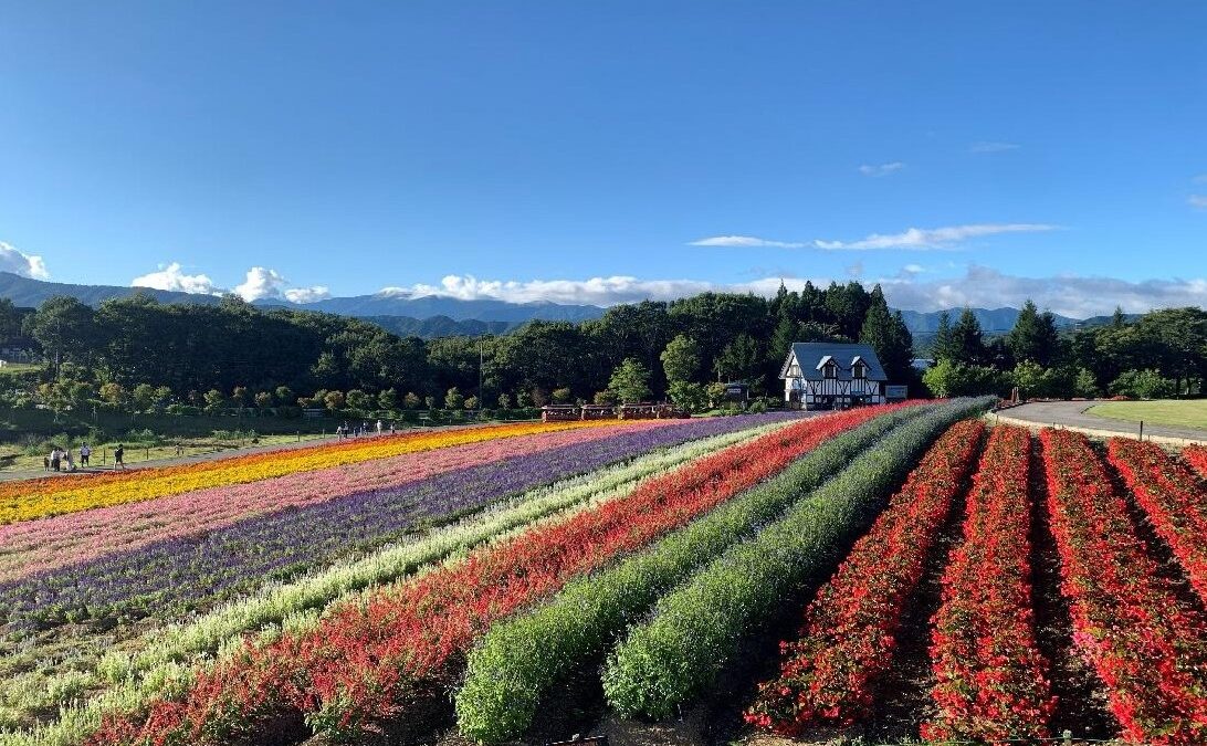 ひるがの高原・牧歌の里と健康を育む飛騨の薬草